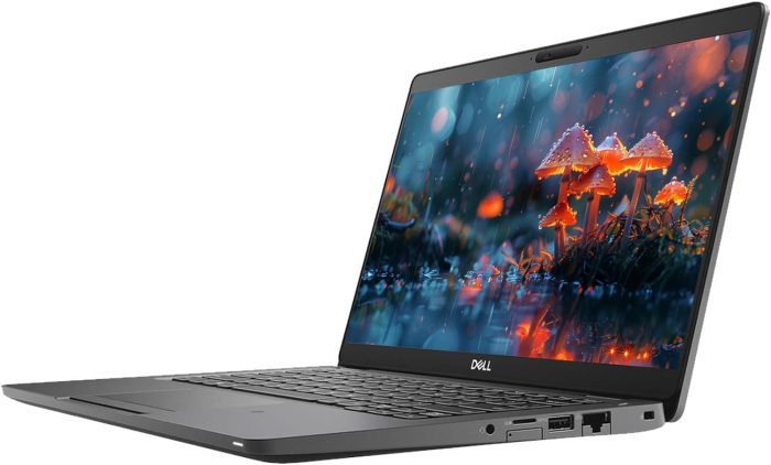 Dell_Latitude_5300-Intel_i5_8365U